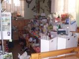 Ples 2008