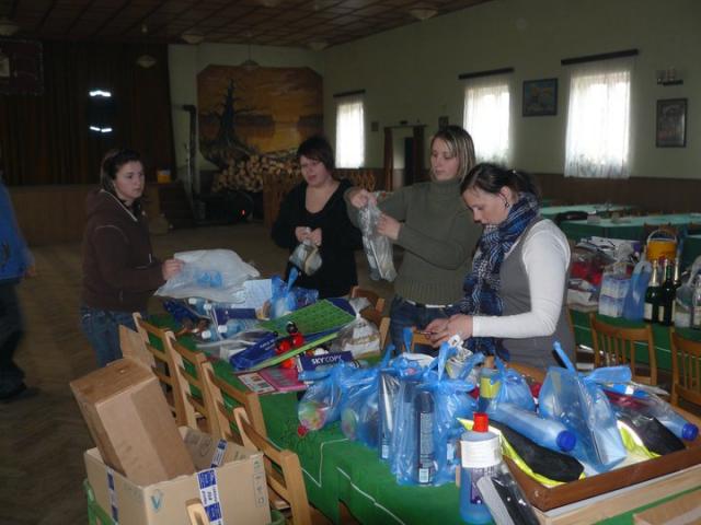 Ples 2011