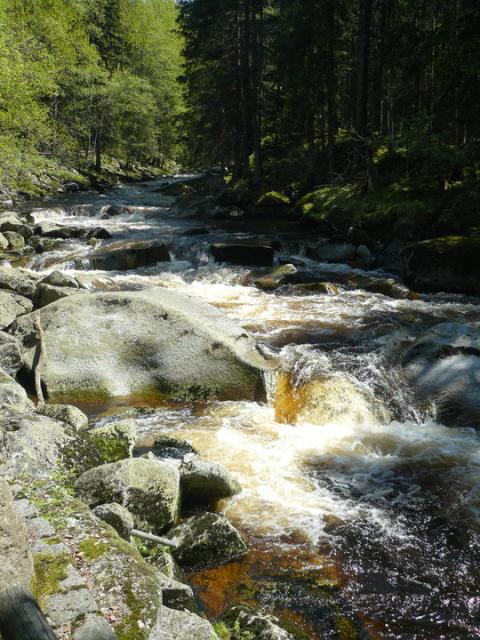 Šumava - Povydří