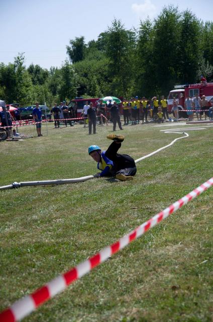 Stříbřec